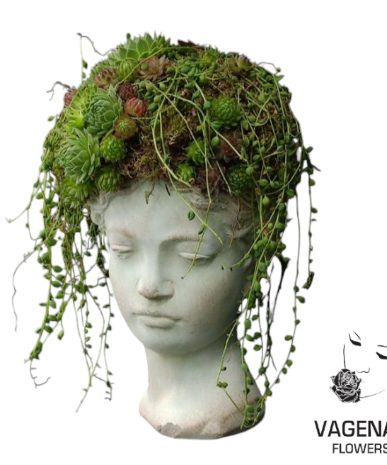 Σύνθεση Παχύφυτων σε Κεραμική Προτομή