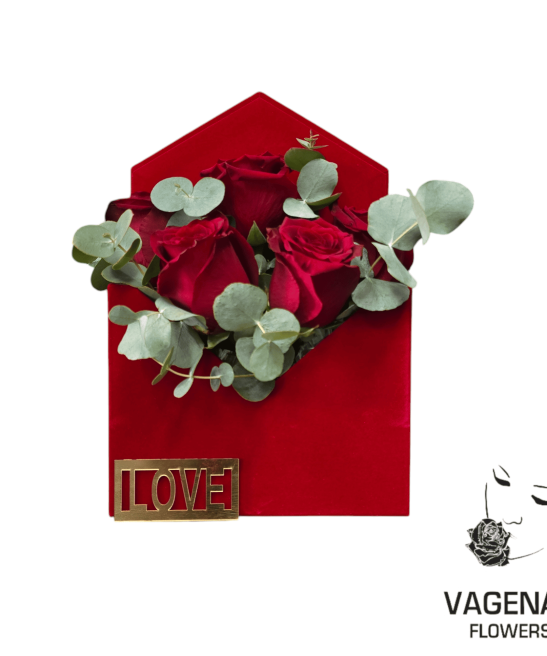 Βελούδινος Φάκελος-Τσαντάκι με Κόκκινα Τριαντάφυλλα